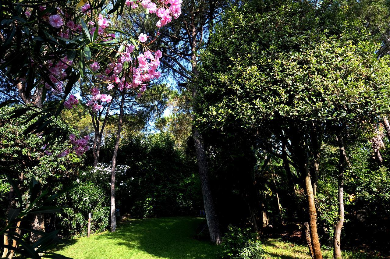 Punta Molino Beach Resort & Thermal Spa Ischia Exterior foto